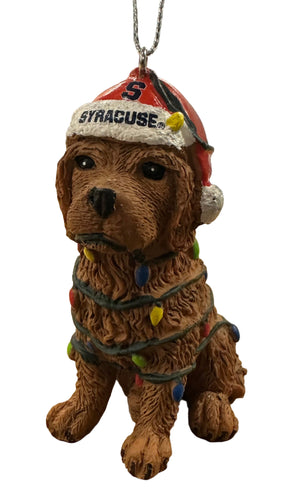 Forever Collectibles Syracuse Dog Ornament