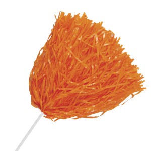 Cheerleading Pom Poms